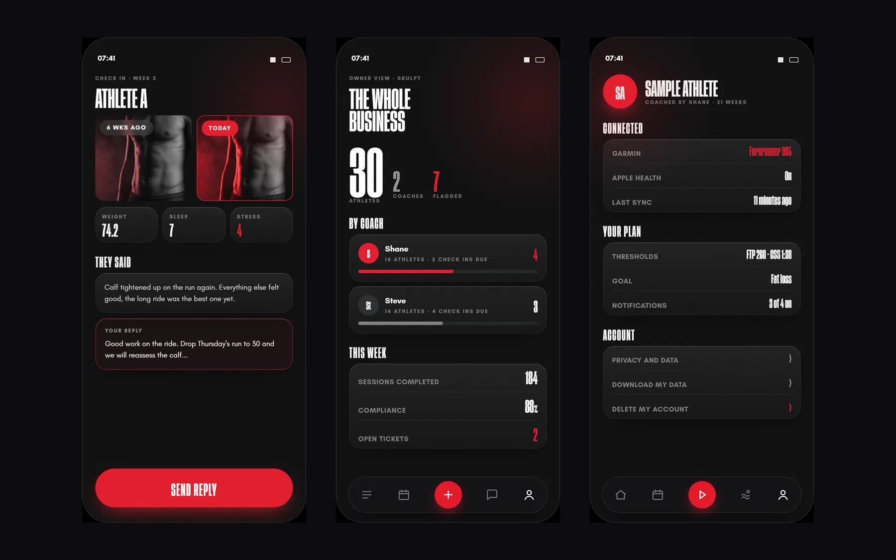 Skulpt screen 6