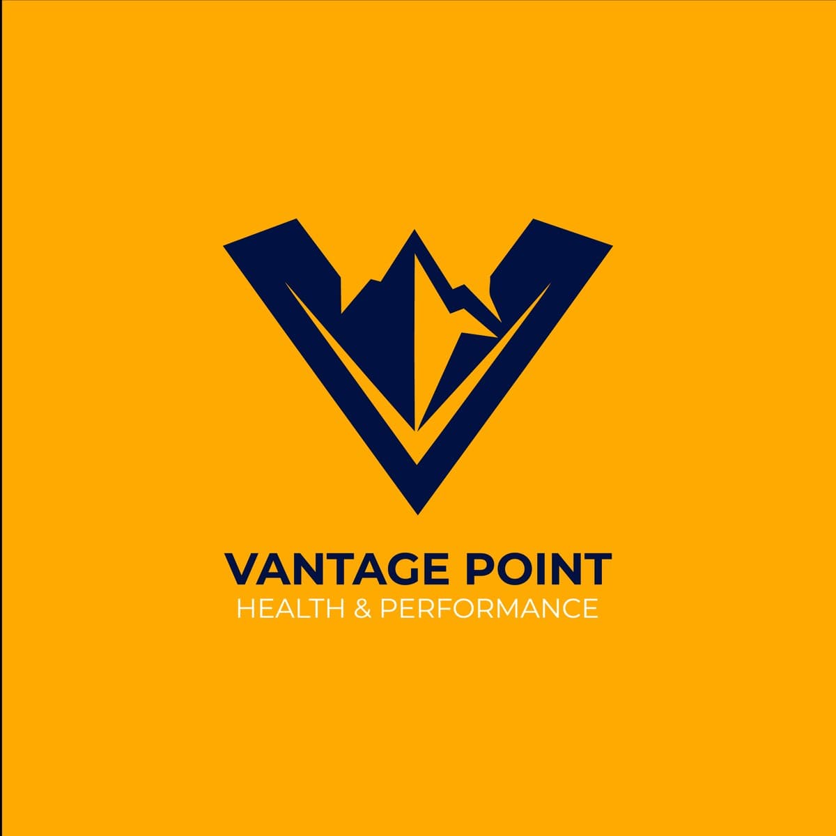 Vantage Point logo